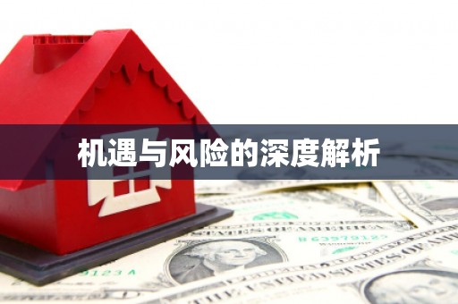 疏勒机遇与风险的深度解析
