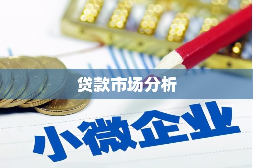 疏勒贷款市场分析