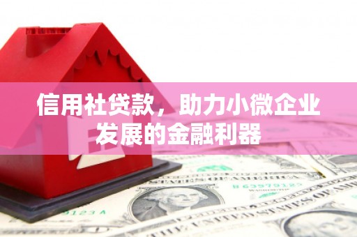 疏勒信用社贷款，助力小微企业发展的金融利器