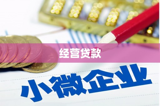 疏勒经营贷款
