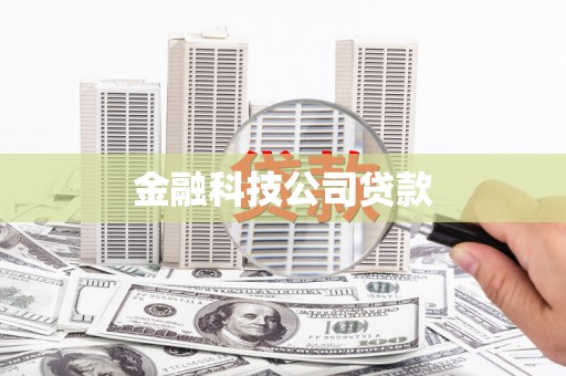 疏勒金融科技公司贷款