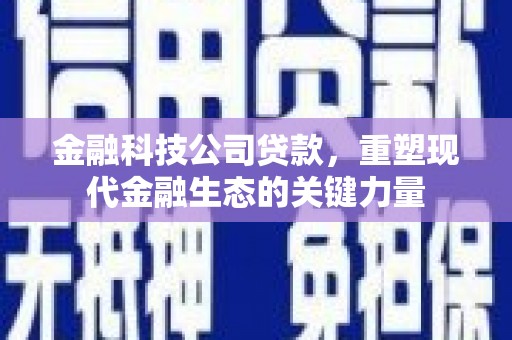 疏勒金融科技公司贷款，重塑现代金融生态的关键力量