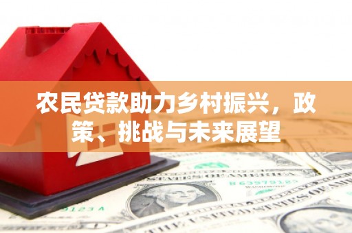 疏勒农民贷款助力乡村振兴，政策、挑战与未来展望