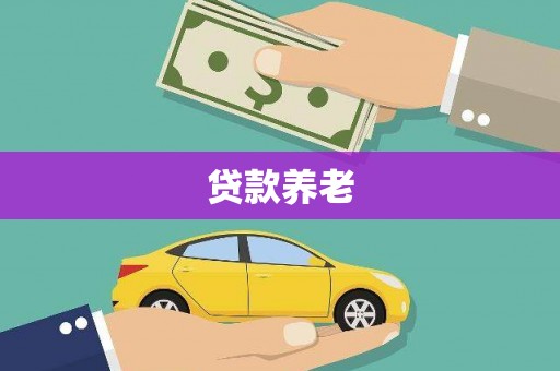 疏勒贷款养老