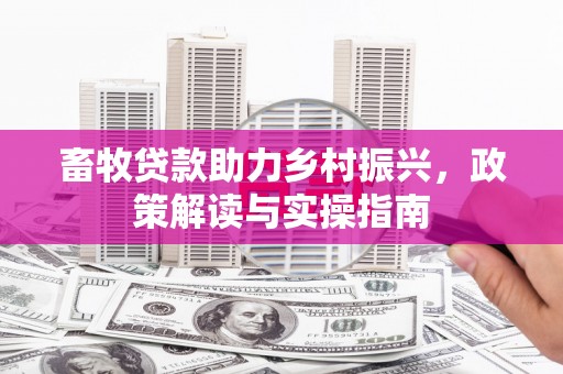 疏勒畜牧贷款助力乡村振兴，政策解读与实操指南
