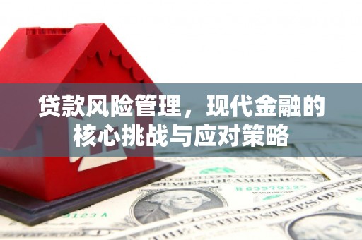疏勒贷款风险管理，现代金融的核心挑战与应对策略
