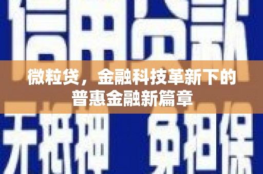 疏勒微粒贷，金融科技革新下的普惠金融新篇章