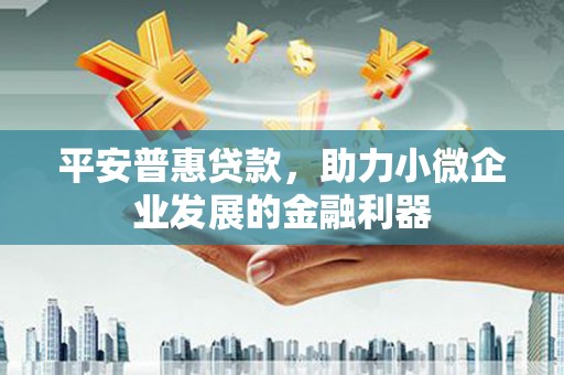 疏勒平安普惠贷款，助力小微企业发展的金融利器