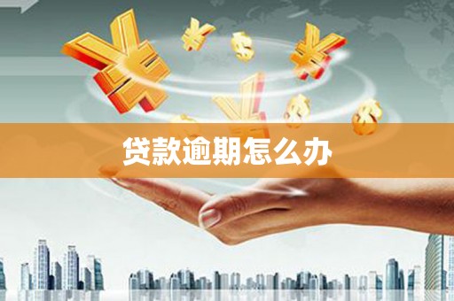 疏勒贷款逾期怎么办