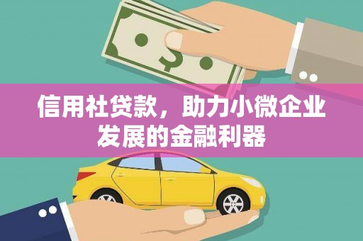 疏勒信用社贷款，助力小微企业发展的金融利器
