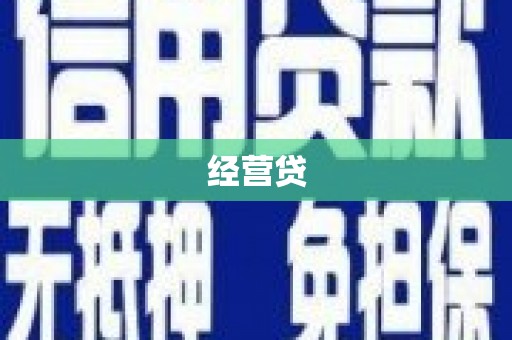 疏勒经营贷