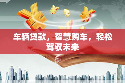 疏勒车辆贷款，智慧购车，轻松驾驭未来