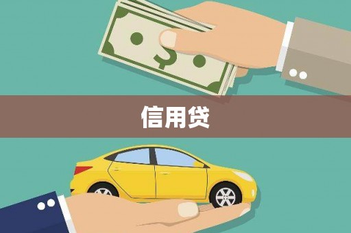 疏勒信用贷