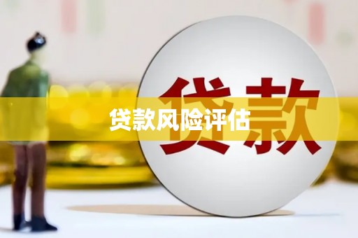 疏勒贷款风险评估
