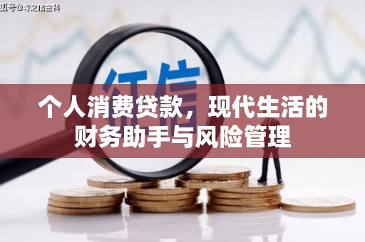 疏勒个人消费贷款，现代生活的财务助手与风险管理