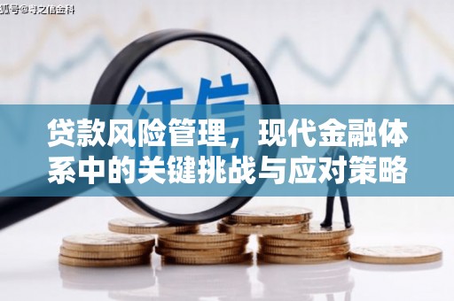 疏勒贷款风险管理，现代金融体系中的关键挑战与应对策略