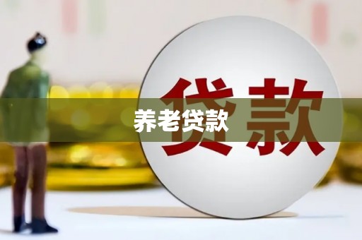 疏勒养老贷款