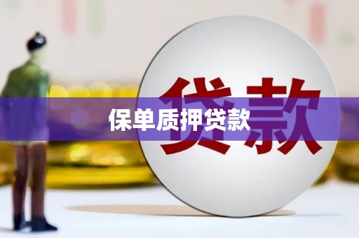 疏勒保单质押贷款