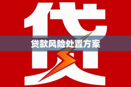 疏勒贷款风险处置方案