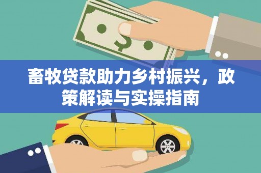 疏勒畜牧贷款助力乡村振兴，政策解读与实操指南