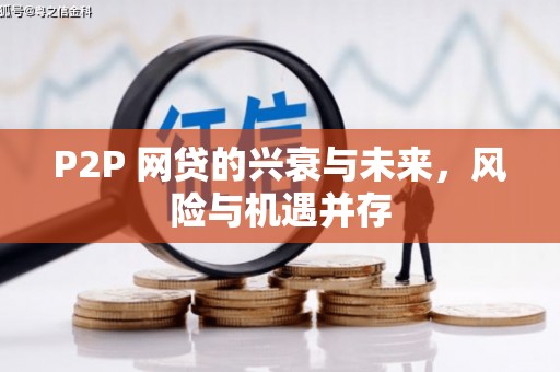 疏勒P2P 网贷的兴衰与未来，风险与机遇并存