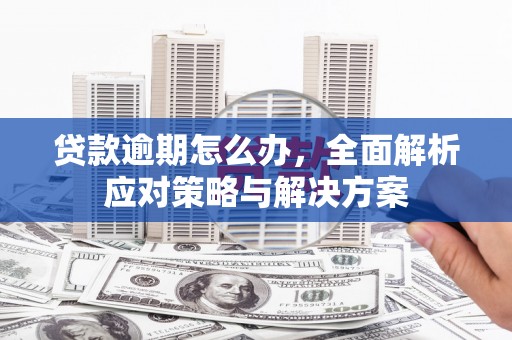 疏勒贷款逾期怎么办，全面解析应对策略与解决方案