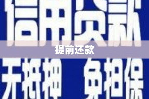 疏勒提前还款