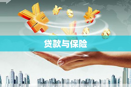 疏勒贷款与保险