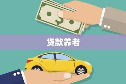 疏勒贷款养老