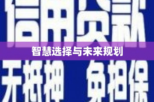 疏勒智慧选择与未来规划