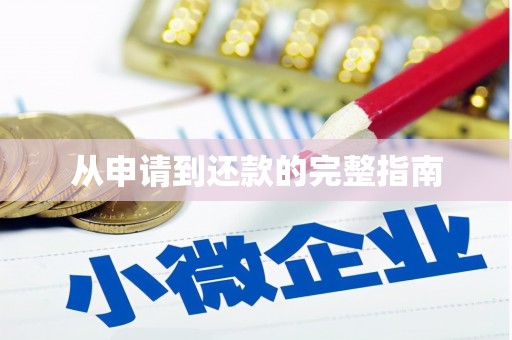 疏勒从申请到还款的完整指南