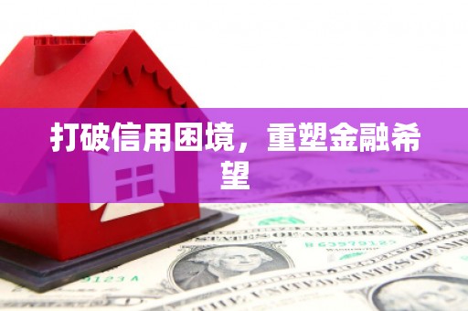 疏勒打破信用困境，重塑金融希望