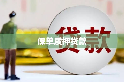 疏勒保单质押贷款