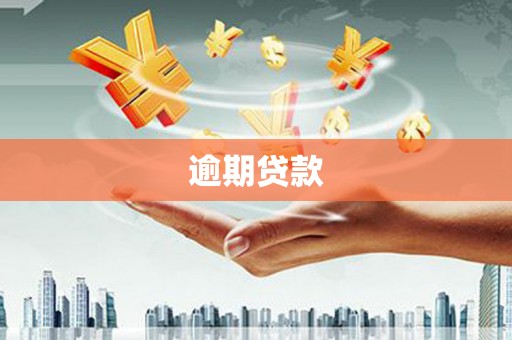疏勒逾期贷款