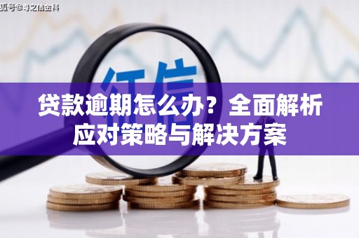 疏勒贷款逾期怎么办？全面解析应对策略与解决方案