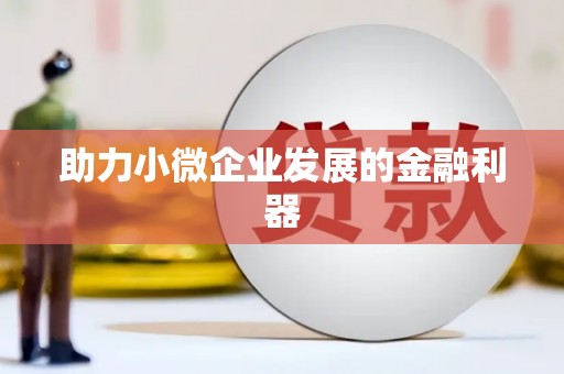 疏勒助力小微企业发展的金融利器
