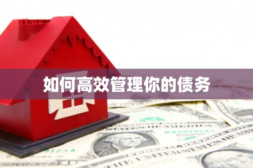 疏勒如何高效管理你的债务