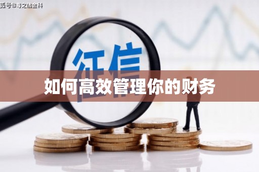 疏勒如何高效管理你的财务