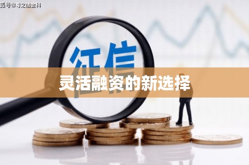 疏勒灵活融资的新选择