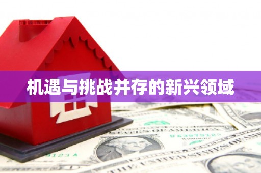 疏勒机遇与挑战并存的新兴领域