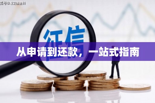 疏勒从申请到还款，一站式指南