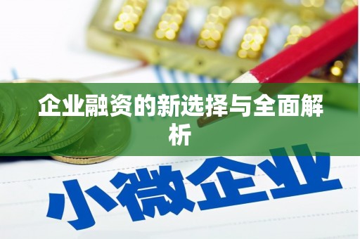 疏勒企业融资的新选择与全面解析