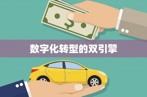 疏勒数字化转型的双引擎