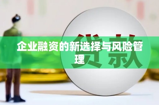疏勒企业融资的新选择与风险管理