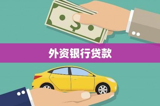 疏勒外资银行贷款