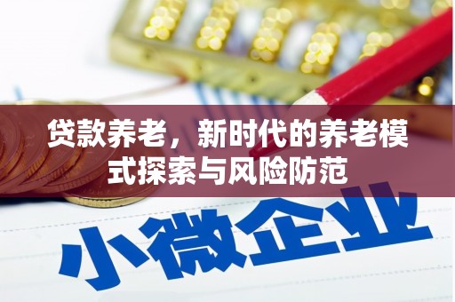 疏勒贷款养老，新时代的养老模式探索与风险防范