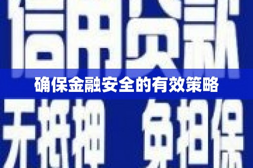 疏勒确保金融安全的有效策略