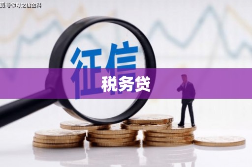 疏勒税务贷
