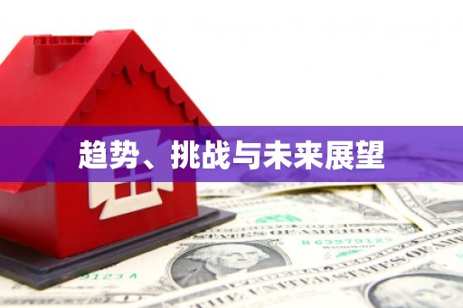 疏勒趋势、挑战与未来展望