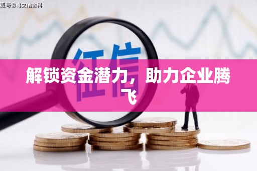 疏勒解锁资金潜力，助力企业腾飞